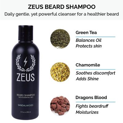 ZEUS Starter Beard Wash Kit with Travel Toiletry Dopp Bag - Beard Wash Shampoo &amp; Conditioner, Beard Brush &amp; Travel Toiletry Bag (Sandalwood)