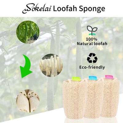 Natural Exfoliating Loofah Sponge - Body Scrubber for Shower Scrubbing, Organic Luffa Sponges, Egyptian Real Loofa, Bath Shower Puff for Bathing, Spa, Massaging Daily Skin Cleansing Care