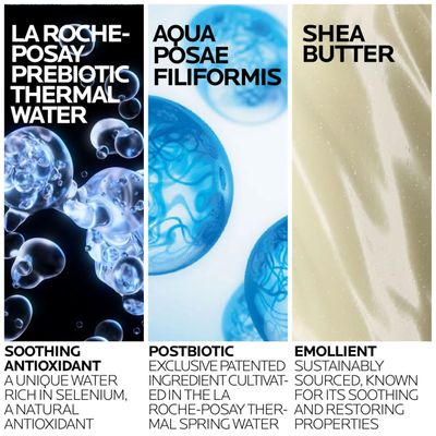 La Roche-Posay Lipikar AP+ Gentle Foaming Moisturizing Wash | Shea Butter + Niacinamide + Glycerin | Moisturizing Body Wash & Face Wash For Dry Skin | National Eczema Association Accepted | Soap Free