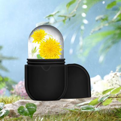 Ice Roller for Face and Eye, Ice Face Roller,Beauty Ice Roller Skin Care Tools Gifts for women, Ice Facial Cube, Silicone Ice Mold for Face Beauty(Black)