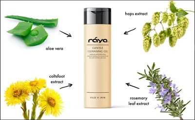 Raya Gentle Facial Cleansing Gel 8 oz (104) | Softening and Moisturizing Botanical Cleanser for Dry and Sensitive Skin| Helps Hydrate Smooth Complexion