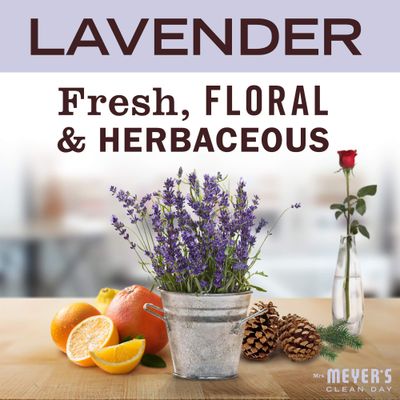Mrs Meyers Mrs. Meyer's Clean Day Foaming Hand Soap (662031)