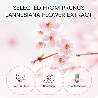 Skin Care Set Sakura Women Beauty Gift Sets Korean Skin Care Kit- Cleanser,Serum,Face Cream,Toner,Eye Cream,Mud Mask-Skin Care Routine Kit (One Size, Cherry Blossom-StyleB-Luxury Moisturizing)
