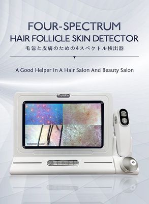 Skin Hair Scalp Detector Hair Follicle Facial Skin Oil Moisture 11 Inch HD LCD Screen Microscope Tester