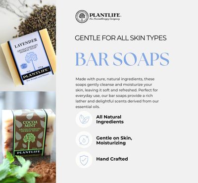 Plantlife Frankincense Myrrh 6-Pack Bar Soap - Moisturizing and Soothing Soap for Your Skin - Hand Crafted Using Plant-Based Ingredients - Made in California 4oz Bar