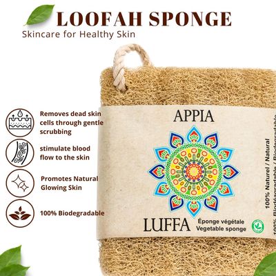 Premium Organic Loofah Sponge Medium 6 | Loofah for Bath & Shower | Body Scrubber for Shower Scrubbing | Eco Friendly 100% Natural & Biodegradable | Daily Skin Cleansing Care for Women and Men