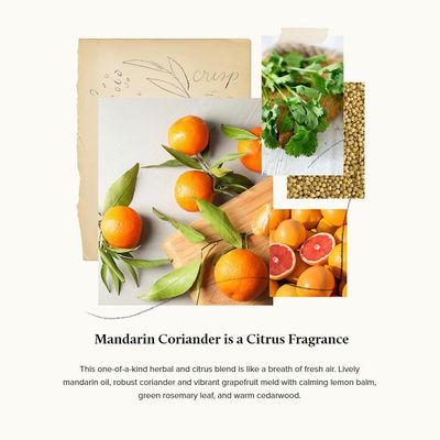 Thymes Hand Wash - Moisturizing Hand Soap Dispenser with Pump - Skin Care - Hydrating Liquid Soap Scented with Notes of Mandarin Oil, Coriander, Grapefruit, &amp; Lemon Balm (Mandarin Coriander, 9 fl oz)