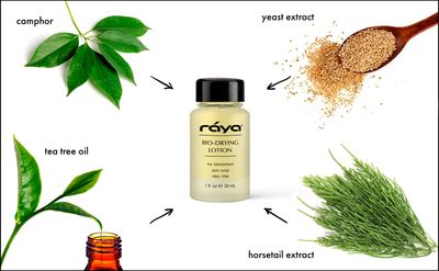 Raya Bio-Drying Lotion (701) | Facial Spot Treatment for Break-Outs | Helps Dry Up White-Heads | Great for Over-Night Use