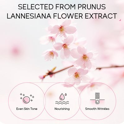 Japan Sakura Skin Care Set For Teen Girls, Skincare Gift Set For Women & Girls Teenage Skin Care, Skin Care Sets For Women, Japanese Cherry Blossom Gift Set Facial Kit For Women & Girls 32PCS