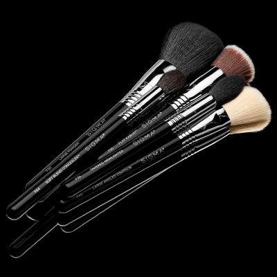 Sigma Beauty Makeup Brush Set - Set of 5 Classic Makeup Brushes for Full Face, Professional Makeup Brushes for Foundation, Concealer, Blush/Powder, Contour, and Highlight (5 pcs)