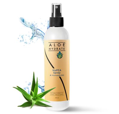 NaPCA Moisturizer. Hydrating Facial Spray with Niacinamide, ZnPCA &amp; Rosewater Face Mist in Aloe vera. Face Mist to Tone, Soothe, Fight Acne and Oiliness. Aloe Anti-aging