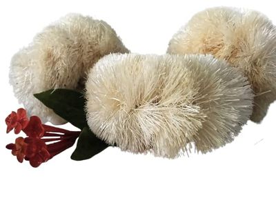 Siyo Natural Bath Body Scrub Brush Skin Smooth Scrubbing Brush Coconut Coir Brush Cleaning The Body Natural Bristal Dry Body Brush for Post Shower &amp; Bath Skincare Routine Eco-Friendly (2 Pack)