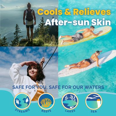 Stream2Sea Sun & Sting Aloe Soothing Gel for Face & Body, Organic Aloe Vera Gel for Sunburn Relief, Travel Size Aloe Vera Gel for Skin, Natural After Sun Care, Pure Aloe After Sun Gel, 2.5 Fl oz