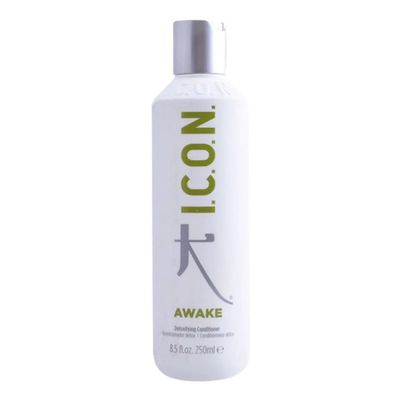 ICON AWAKE Detoxifying Conditioner 8.5oz (2 FREE Hair &amp; Skin Care Samples)