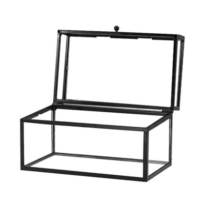 Krdrgey Glass Lipsticks Organizer, 8.9Inch x 5Inch x 5Inch Clear with Divider Included, Skin Care, Perfume, Mascara, Lip Gloss, Sample, Life Supply Holder with Lid (black, large)