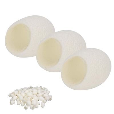 Qinlorgo Blackhead Removal 100pcs Silkworm Cocoons, Deep Cleansing Facial Care Skin Treatment Mask