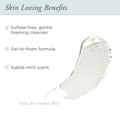 PR Beauty Sea Fresh Purifying Gel Foam Cleanser, Algae, Sea Kelp, Antioxidants, 5 FL oz