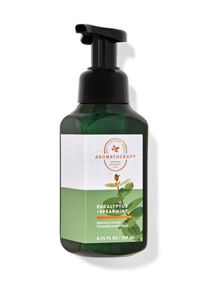 Bath &amp; Body Works Gentle Foaming Hand Soap Eucalyptus Spearmint Stress Relief