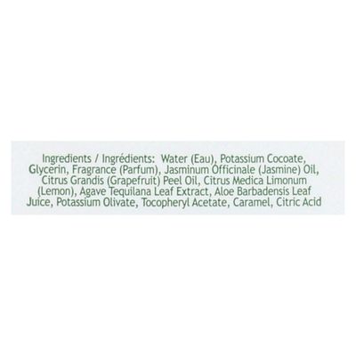 SoF Hydrating Foaming Hand Wash - With Organic Agave Nectar &amp; Coconut Oil- Vegan &amp; Non GMO- Free From Phthalates, Sulfates &amp; Parabens- Blooming Jasmine - 8 oz Bottle 3 Pack