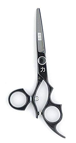 Professional Salon/Barber Shears Swivel, Black Titanium, 6 Inch, 2.3 ounce