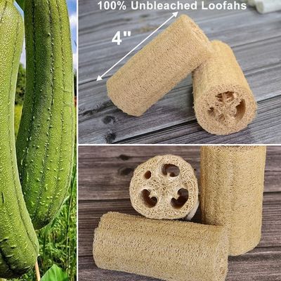 4" Natural Loofah Sponge, Natural Exfoliating Bath Scrubber Shower Body Sponges for Men Women for Deep Cleaning, Pack of 6