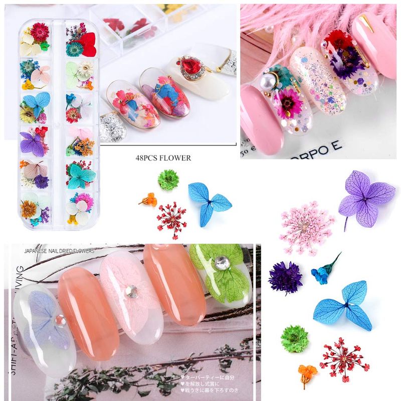 iFancer 108 Pcs Dried Flowers for Resin Nail Art 62 Colors 3D Dry Flowers for Nails 2 Boxes Small Tiny Dried Flowers for Nail Art Little Pressed Real Natural Flower Nail Art Design Decoration Supplies