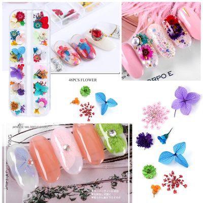 iFancer 108 Pcs Dried Flowers for Resin Nail Art 62 Colors 3D Dry Flowers for Nails 2 Boxes Small Tiny Dried Flowers for Nail Art Little Pressed Real Natural Flower Nail Art Design Decoration Supplies