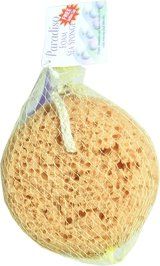 Paradiso Foam Sea Sponge with Suction Cup