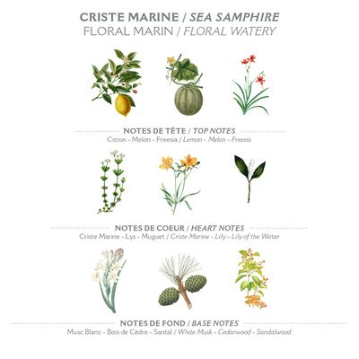 Panier des Sens - Sea Samphire Eau de Toilette - Valentines Day Gifts for Women - Light Perfume for Women - Fresh Fragrance - Gift Ideas for Her - Parfum Made in France - Hair & Body Spray 1.7 Floz