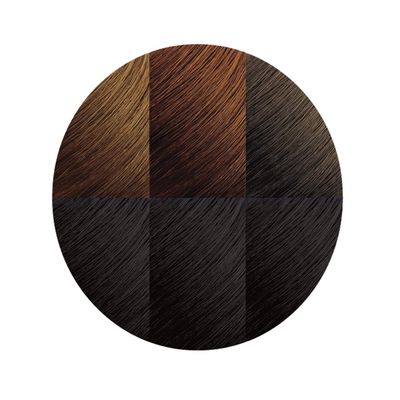 Moisture Rich Liquid Hair Color by Creme of Nature, C10 Jet Black, with Shea Butter Conditioner, 1 Application