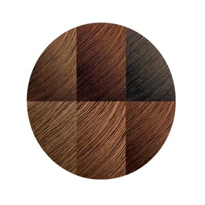 Moisture Rich Liquid Hair Color by Creme of Nature, C20 Light Golden Brown, with Shea Butter Conditioner, 1 Application