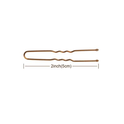 AIEX 200 Pieces U-Shaped Hairpins Kit Hair Clips Hairpins Hair Clips for Women Girls and Hair Salon (Bronze)