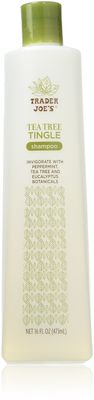 Trader Joe&#39;s Tea Tree Tingle Shampoo with Peppermint, Tea Tree and Eucalyptus Botanicals, 16-Ounces