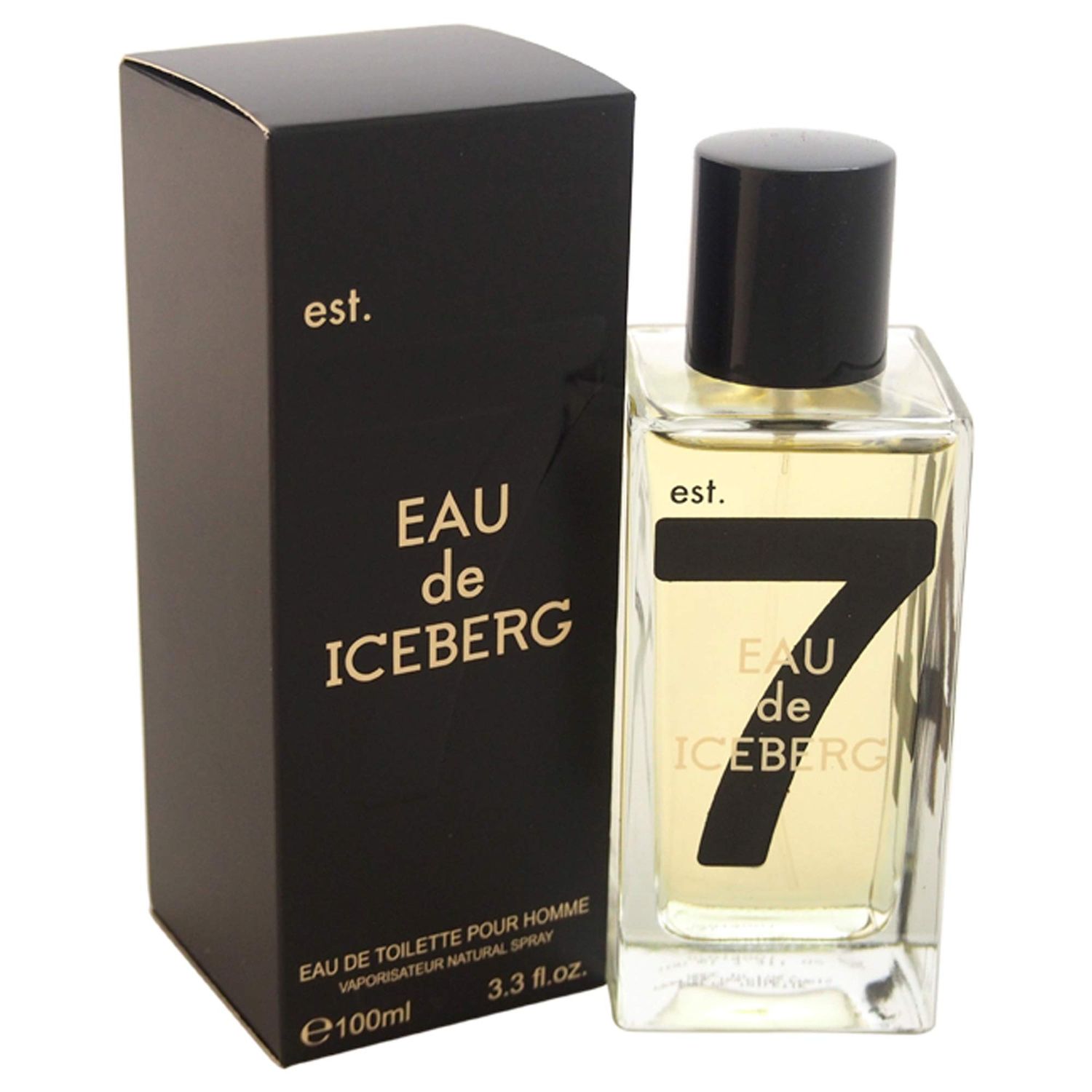 Eau De Iceberg Pour Homme by Iceberg, 3.3 Ounce