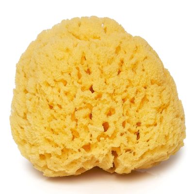Sea Sponge for Bathing 5 inch-Softly Rough but Not Skin Irritating - Yellow, Natural Bath Sponge-Renewable Resource - Natural Sponge for Body and Shower-Lathers &amp; Washes Really Well