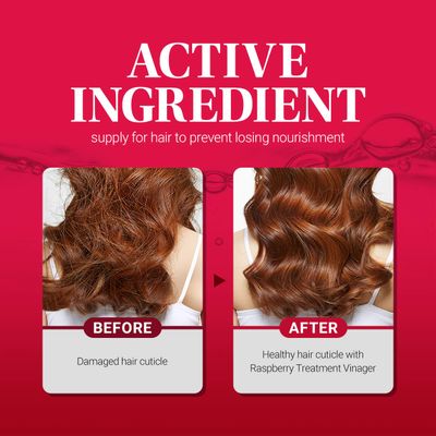 CP-1 Esthetic House Raspberry Treatment Hair Vinegar Rinse, for scalp (500ml 16.9 oz)