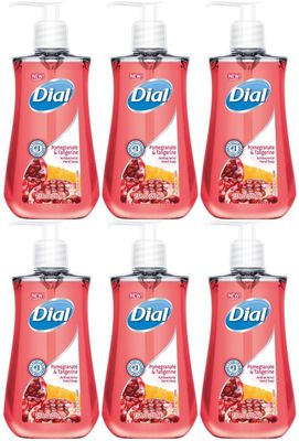 DIA02795 - Dial Pomegranate Antibacterial Hand Soap - 6 Pack