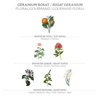 Panier des Sens - Rose Geranium Eau de Toilette - Valentines Day Gifts for Women - Light Perfume for Women - Floral Fragrance - Gift Ideas for Her - Parfum Made in France - Hair &amp; Body Spray 1.7 Floz