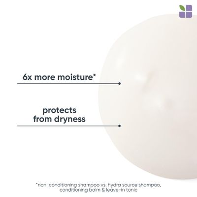 Biolage Hydra Source Daily Leave-In Tonic | Moisturizes, Renews Shine &amp; Protects Hair From Environmental Damage | For Dry Hair | Vegan &amp; Cruelty Free | 13.5 Fl Oz