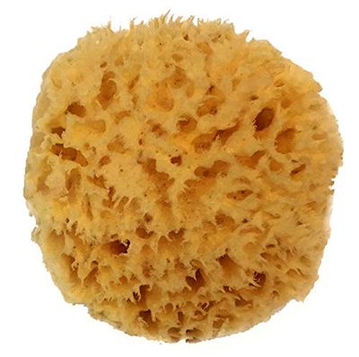 Natural Sea Wool Sponge 4-5&quot; by Spa Destinations  Amazing Natural Renewable Resource Creating The in Perfect Bath and Shower Experience