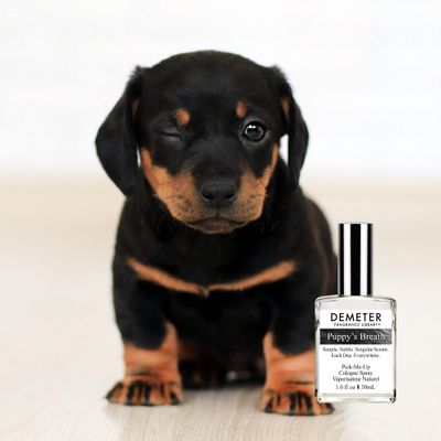 DEMETER Fragrance Library 1 oz Cologne Spray - Puppy's Breath