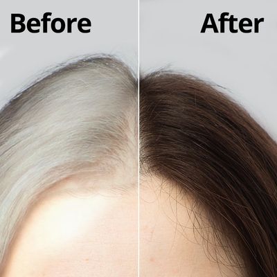 Daeng Gi Meo Ri - Korean Herbal Hair Dye Color Cream [Natural Brown] - PPD-Free Gray Coverage, Hair Protection, High-Keratin Formula, 5 Oz