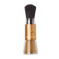 Bourjois Pinceau Poudre Libre Loose Powder in a Brush 67 Soleil Dore