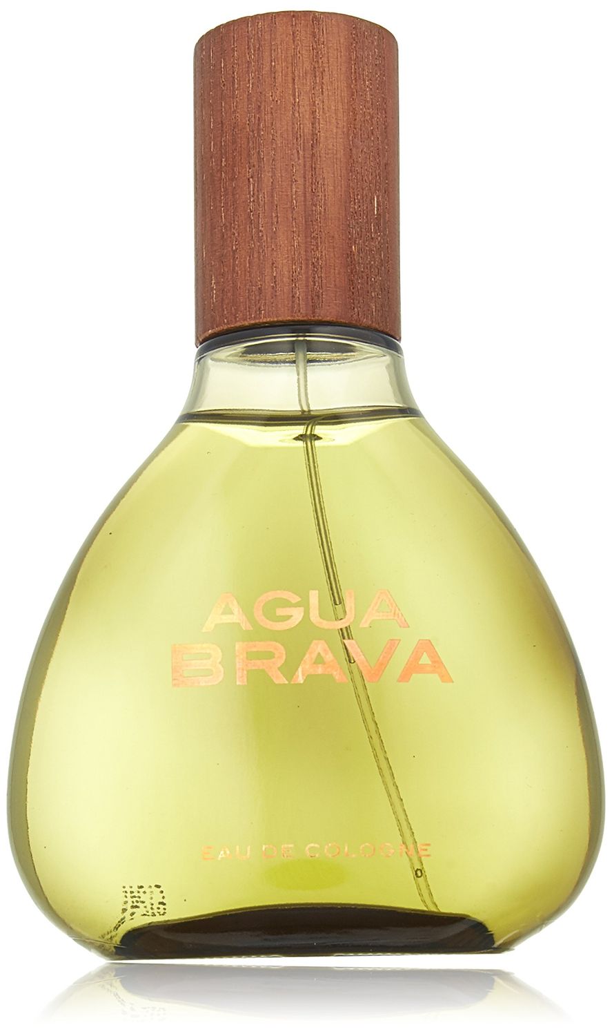 Antonio Puig AGUA BRAVA COLOGNE SPRAY 3.4 OZ