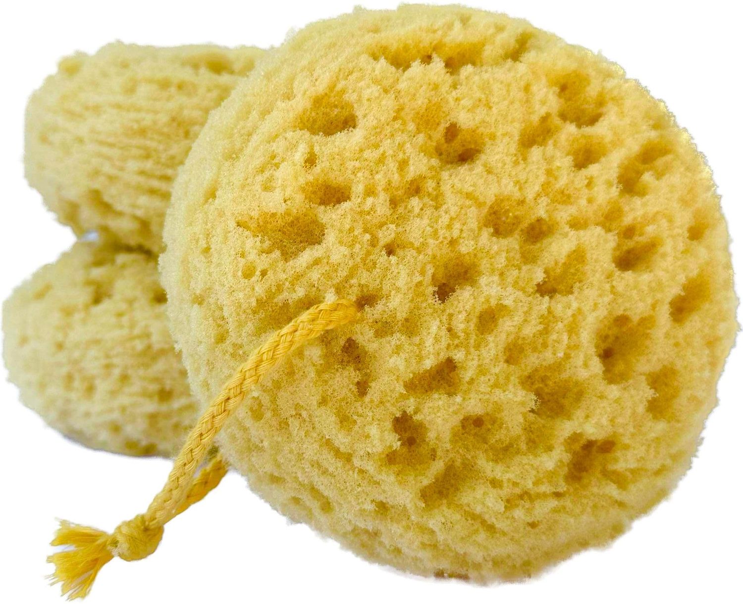 Michelle&#39;s Melting Pot Exfoliating Foam Sea Sponge, Natural Feel, Shower Loofah, Bath Sponge, Rich Lather (Set of 3)