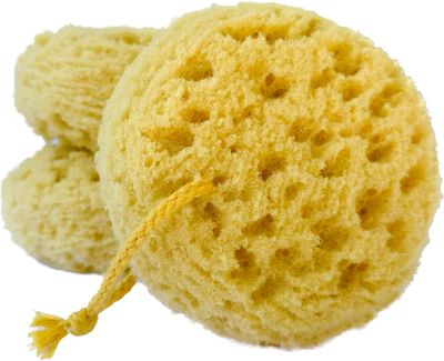 Michelle&#39;s Melting Pot Exfoliating Foam Sea Sponge, Natural Feel, Shower Loofah, Bath Sponge, Rich Lather (Set of 3)