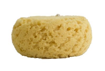 Evriholder Foam Body Sponge for Exfoliating Large Scrubber for a Relaxing Shower or Bath, Pack of 2