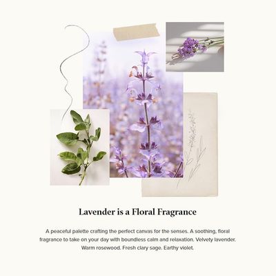 Thymes Moisturizing Hand Wash Soap with Pump - Luxury Hand Soap Gently Cleanses & Moisturizes - Skin Care with Glycerin & Jojoba - Calming, Floral Fragrance (Lavender, 8.25 oz)