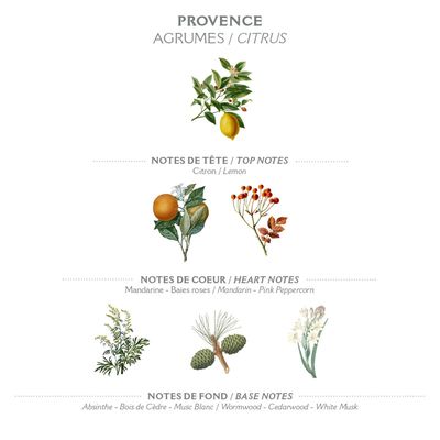 Panier des Sens - Provence Eau de Toilette - Valentines Day Gifts for Women - Light Perfume for Women - Fresh,Fruity Fragrance - Gift Ideas for Her - Parfum Made in France - Hair & Body Spray 1.7 Floz