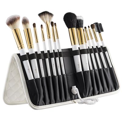 Tootloos 14 PC Makeup White Brush Set - Superior Quality Makeup Brushes. Durable, Lightweight &amp; Made of Aluminum Ferule. Free Leather Standing Easel Case &amp; Blender Brush Included - Great Gift Idea!